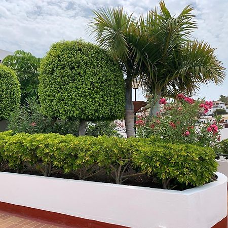 אדחה Ocean Breeze And Seaview Resort מראה חיצוני תמונה