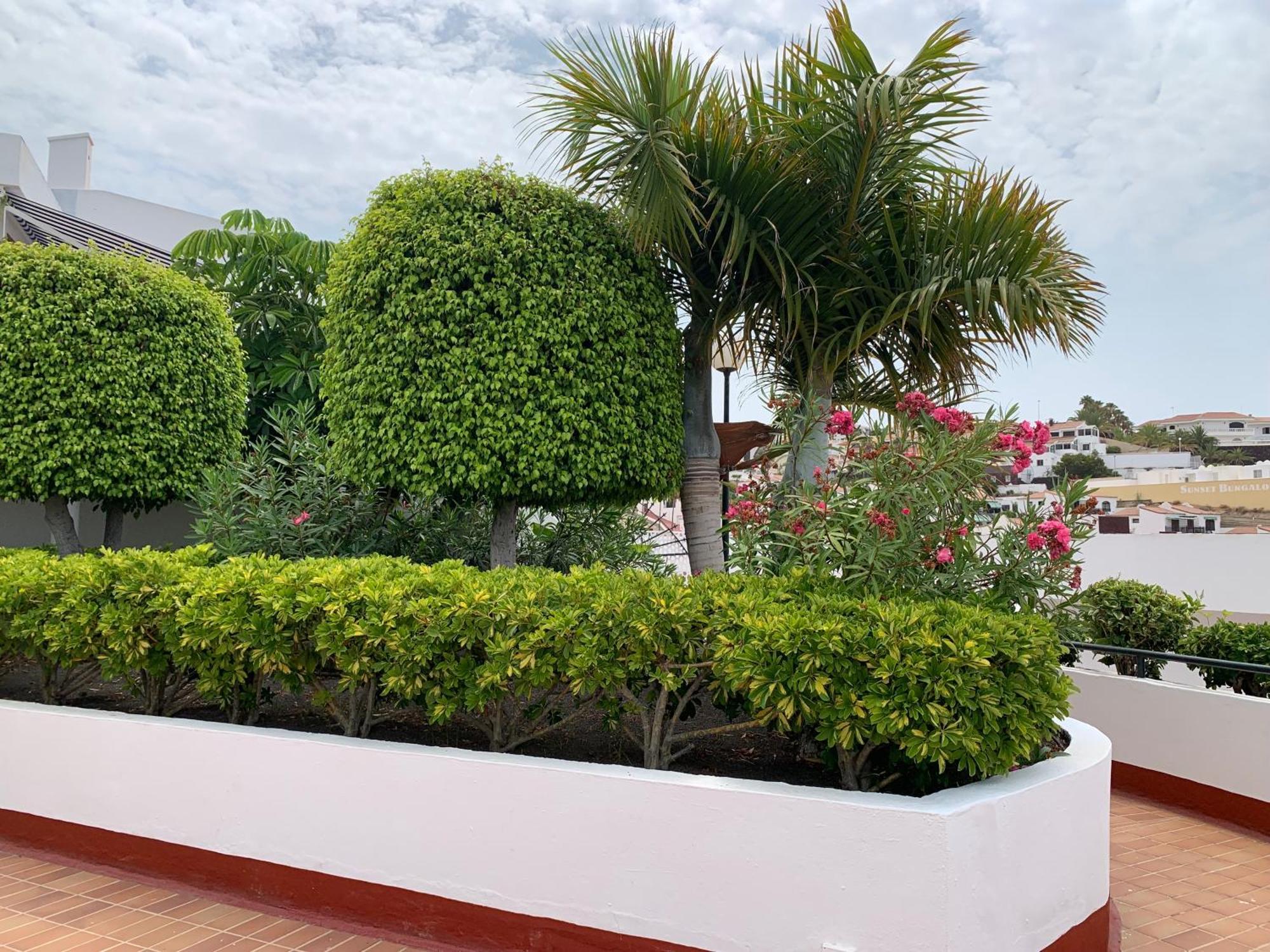 אדחה Ocean Breeze And Seaview Resort מראה חיצוני תמונה